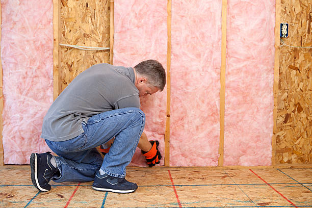 Best Radiant Barrier Insulation  in Rice, MN